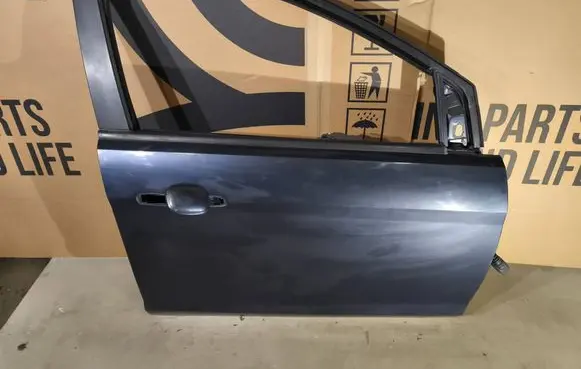 Ford Focus Front door 