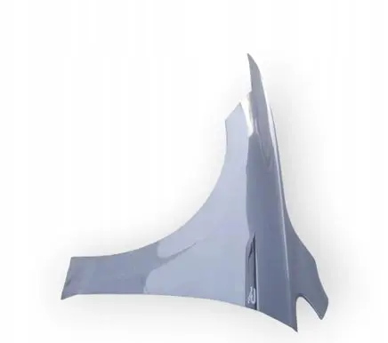 Volkswagen Golf VIII Fender 5H0821021B