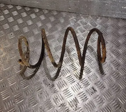 Front coil spring