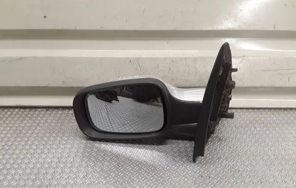 Renault Clio III Front door electric wing mirror E20104016