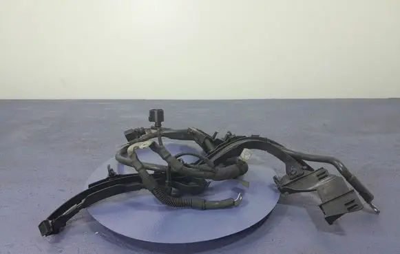 Audi Q7 4M Other wiring loom 4M0971228BF