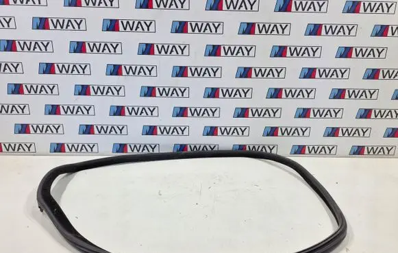 BMW 6 F06 Gran coupe Rubber seal rear door 