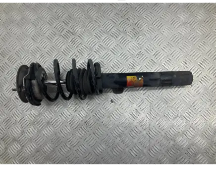 Front shock absorber with coil spring