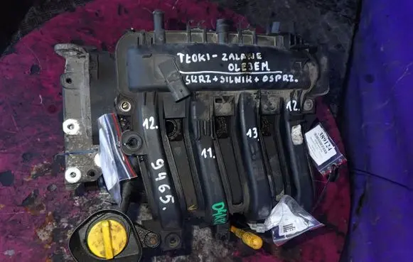 Renault Clio III Engine D4K02