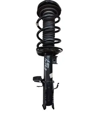 Ford Escape IV Front shock absorber with coil spring LX6118K001NEG