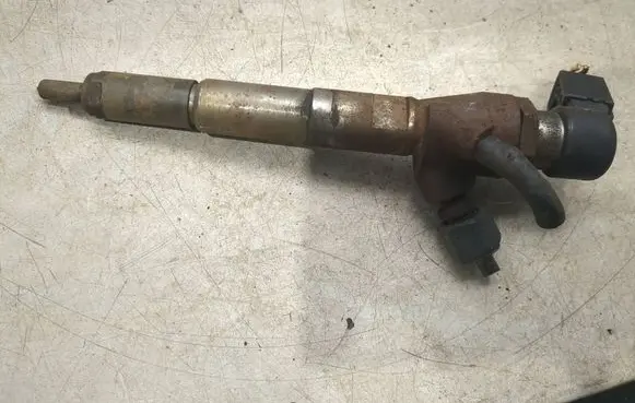 Dacia Duster Fuel injector H8200704191 166008052R