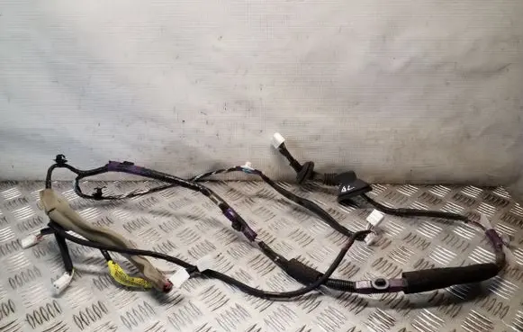 Lexus RX 450H Rear door wiring loom 8215448170