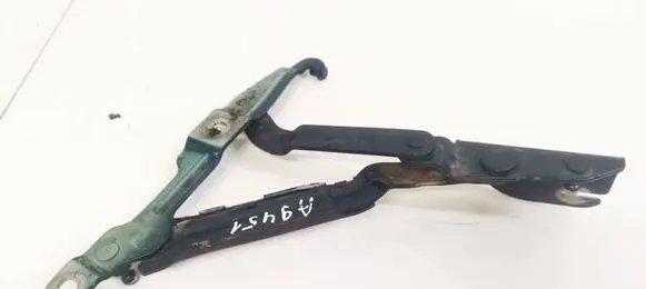 Tailgate/trunk/boot hinge