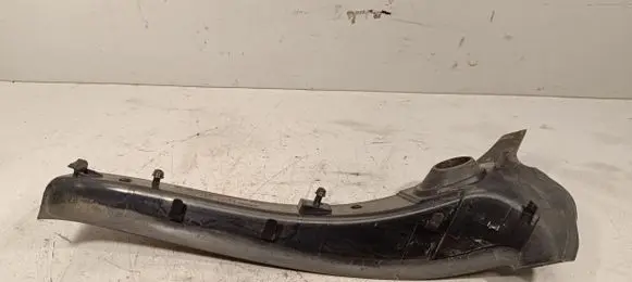 Rear/tail light trim molding