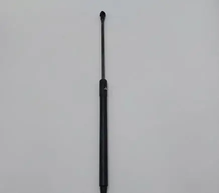 Tailgate strut
