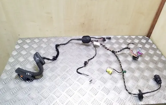 Volkswagen Tiguan Front door wiring loom 5N1971121G
