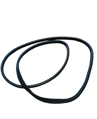 Honda Accord Front door rubber seal 10H070613