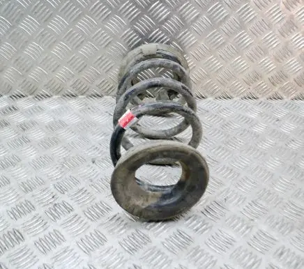Tesla Model 3 Rear coil spring 104447201E