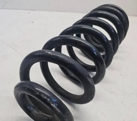 Rear coil spring