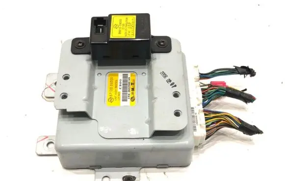 SsangYong Kyron Other control units/modules 8712009200