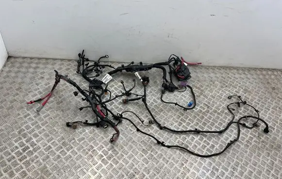 Renault Megane III Engine installation wiring loom 240113271R 893407