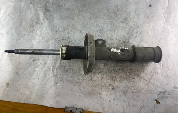 Opel Zafira A Front shock absorber/damper 22194342 244344747