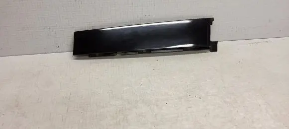 Ford Focus ST Rear door glass trim molding BM51A254A40