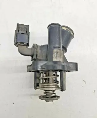 Thermostat/thermostat housing