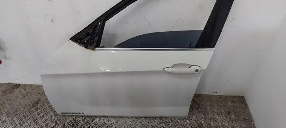 BMW X1 E84 Front door 