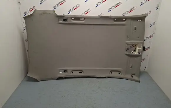 BMW X3 F25 Headlining A072016