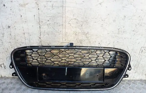 Citroen C3 Front bumper lower grill 9685359677