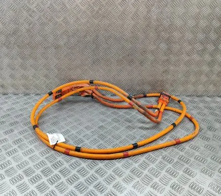 Tesla Model Y Other wiring loom 110900300E