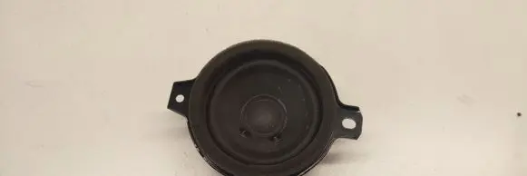 Front door high frequency speaker