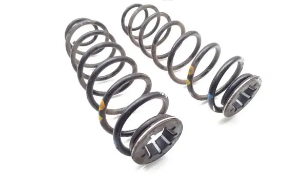 Rear coil spring