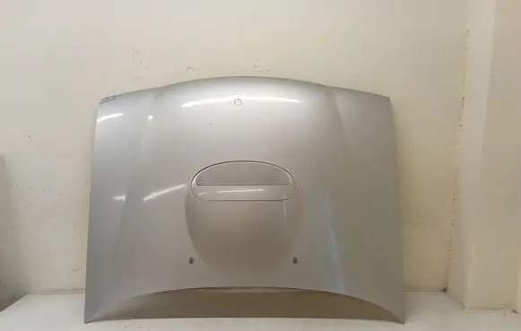 Nissan Terrano Engine bonnet/hood 658517F000