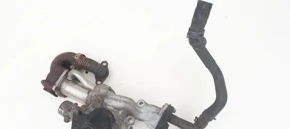 Nissan Note (E11) EGR valve 7003680401