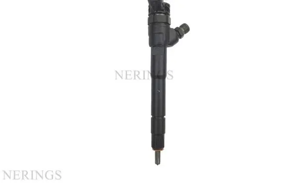 Renault Koleos II Fuel injector 0445110895