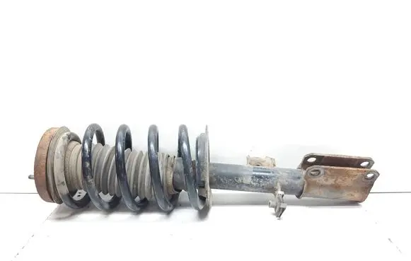 BMW X5 E53 Front shock absorber with coil spring 1096272 31311096272