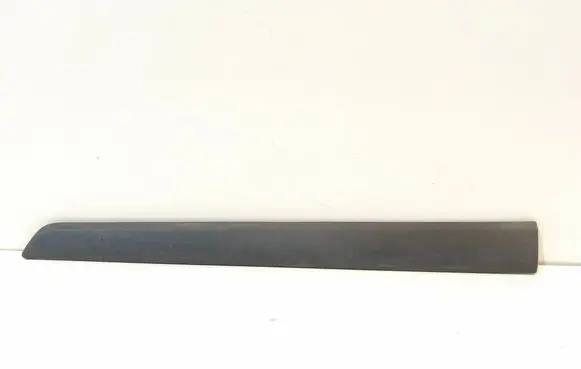 Renault Kangoo II Rear door trim (molding) 8200439115