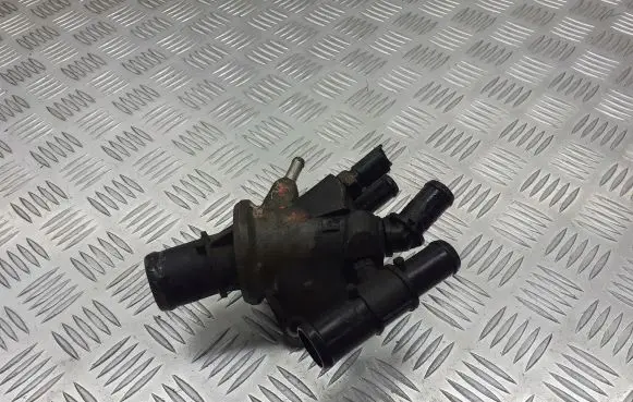 Thermostat/thermostat housing