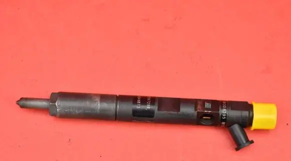 Renault Megane II Fuel injector EJBR04001D