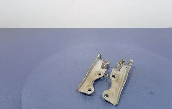 Mitsubishi Endeavor Engine bonnet/hood hinges 
