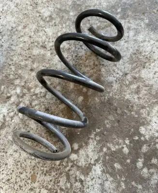 Rear coil spring