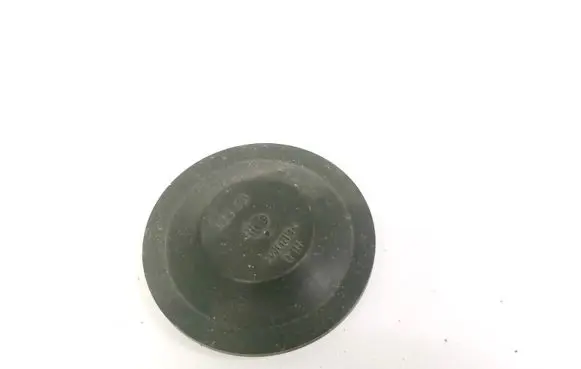 Headlight/headlamp dust cover