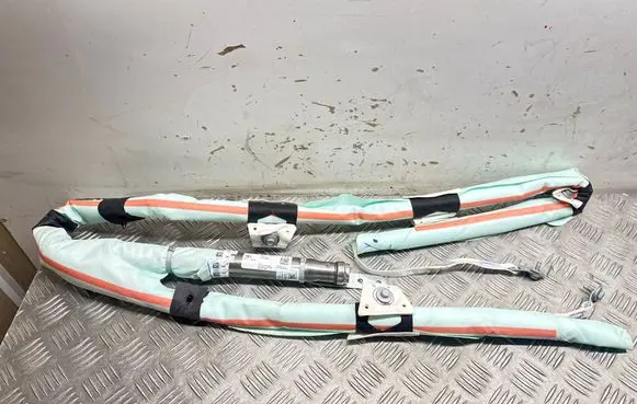 Tesla Model Y Roof airbag 1675066EUC