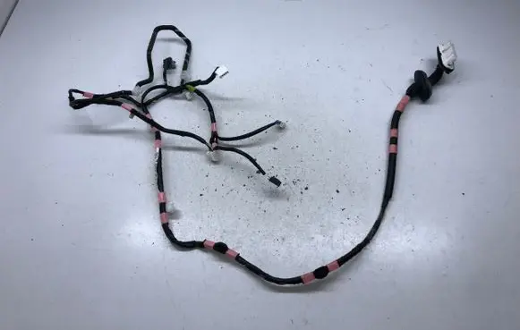 Rear door wiring loom