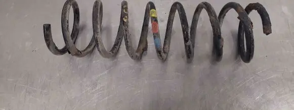 Ford Focus Front coil spring