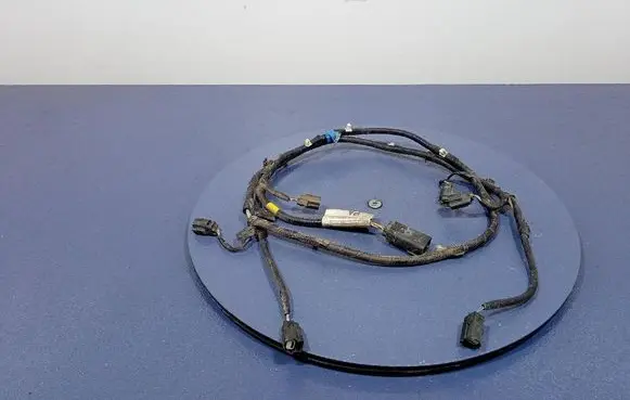 Other wiring loom