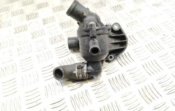 Thermostat/thermostat housing