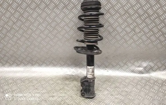 Front shock absorber with coil spring