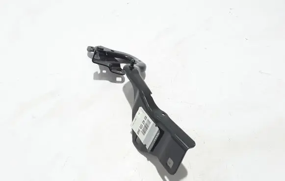 Renault Scenic IV - Grand scenic IV Engine bonnet/hood hinges 654013594R