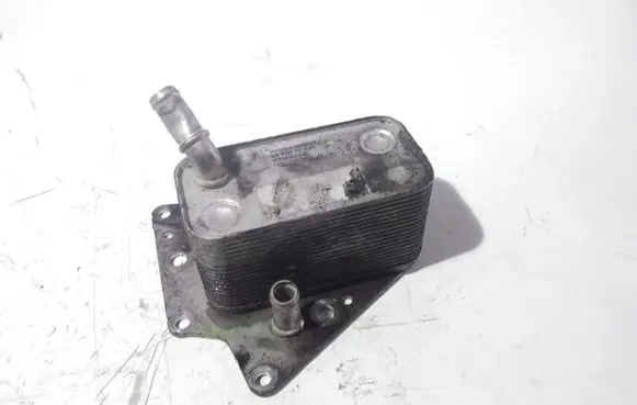 Opel Vectra C Engine oil radiator 5989070241