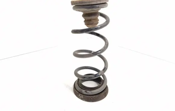 Ford Focus Rear coil spring