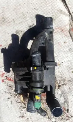 Thermostat/thermostat housing
