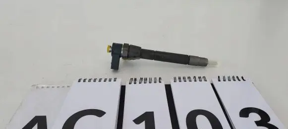 Mercedes-Benz C W203 Fuel injector A613070098780